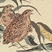 Utamaro Kitagawa Gallery